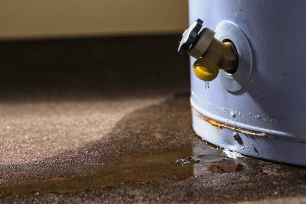 Best Carpet water damage restoration  in Belvedere Park, GA