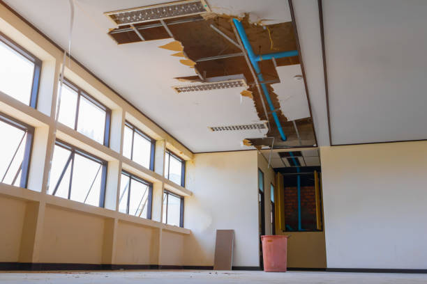 Best Carpet water damage restoration  in Belvedere Park, GA