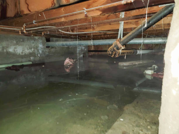 Best Ceiling water damage repair  in Belvedere Park, GA