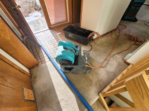 Best Mold removal after water damage  in Belvedere Park, GA