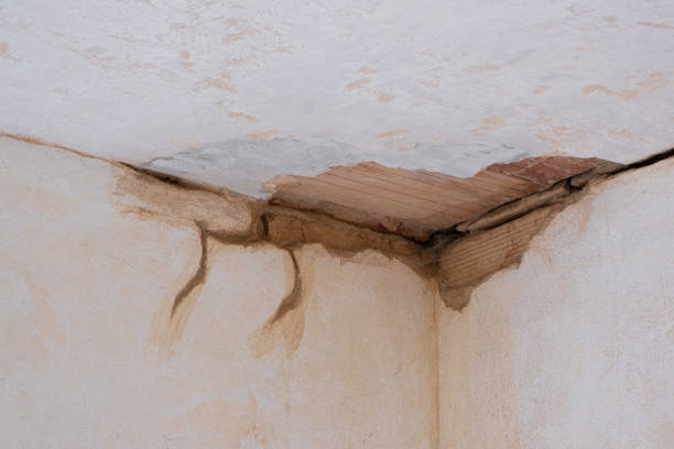 Best Water damage repair service  in Belvedere Park, GA