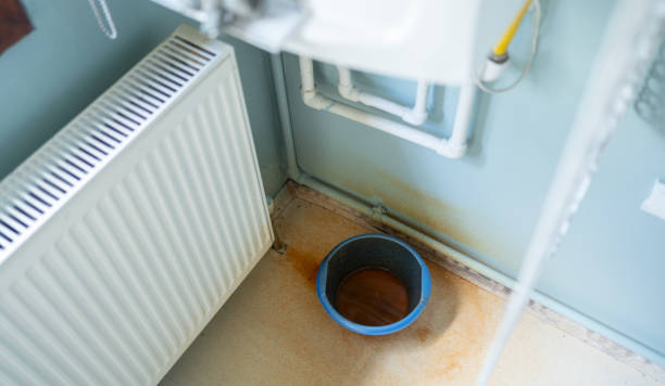 Best Carpet water damage restoration  in Belvedere Park, GA